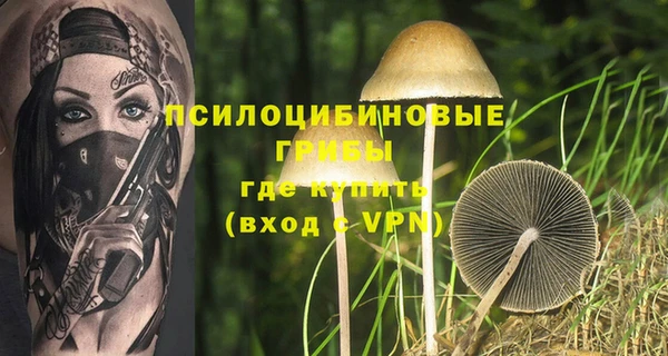 ECSTASY Алексин