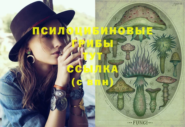 метамфетамин Алексеевка