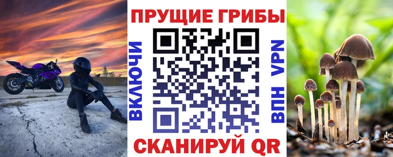 Галлюциногенные грибы прущие грибы  купить наркотик  Дыгулыбгей 